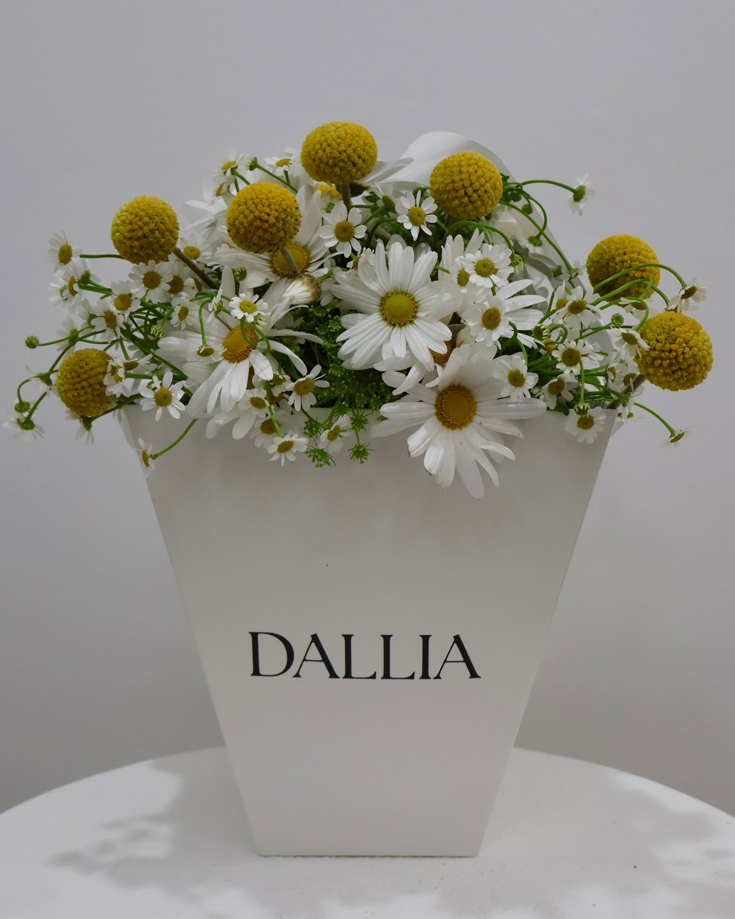 Daisy No.9