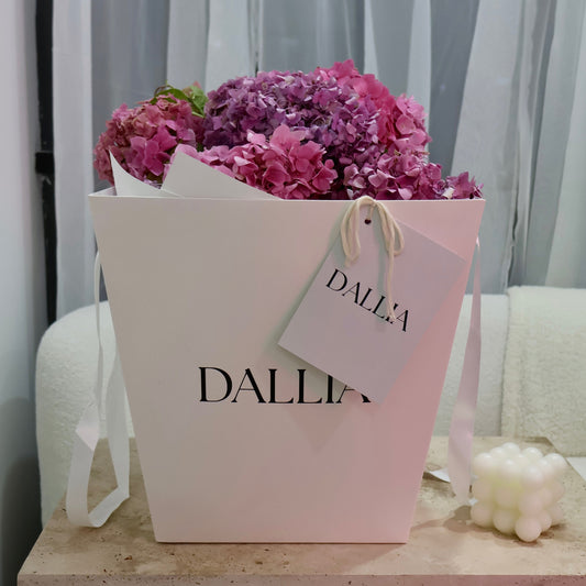 Hydrangea's