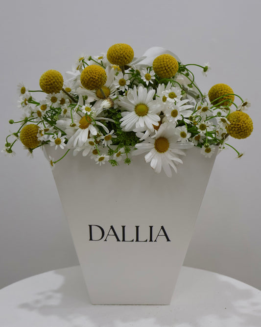 Daisy No.9